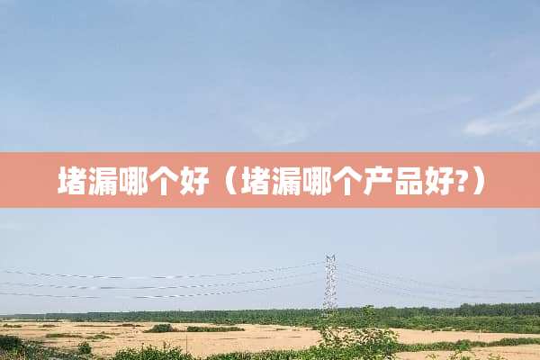 堵漏哪个好（堵漏哪个产品好?）