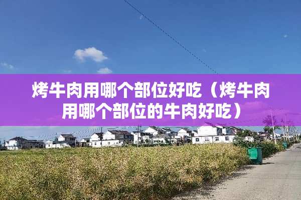 烤牛肉用哪个部位好吃（烤牛肉用哪个部位的牛肉好吃）