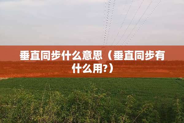 垂直同步什么意思（垂直同步有什么用?）