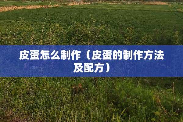 皮蛋怎么制作（皮蛋的制作方法及配方）