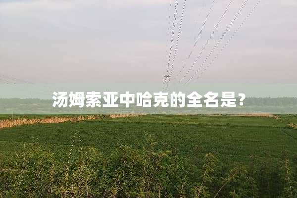 汤姆索亚中哈克的全名是？
