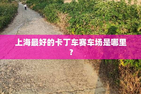 上海最好的卡丁车赛车场是哪里？