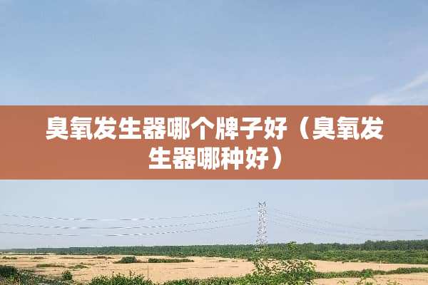 臭氧发生器哪个牌子好（臭氧发生器哪种好）