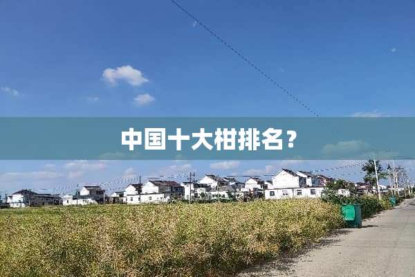 中国十大柑排名？