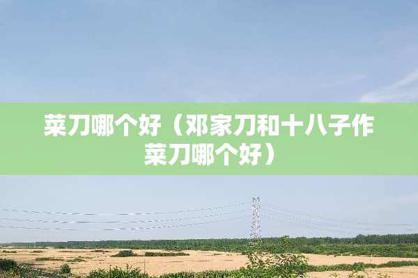 菜刀哪个好（邓家刀和十八子作菜刀哪个好）