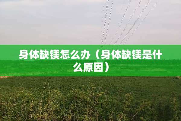 身体缺镁怎么办（身体缺镁是什么原因）