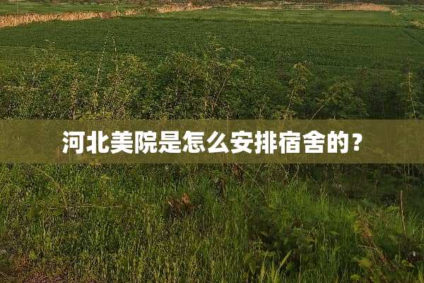 河北美院是怎么安排宿舍的？