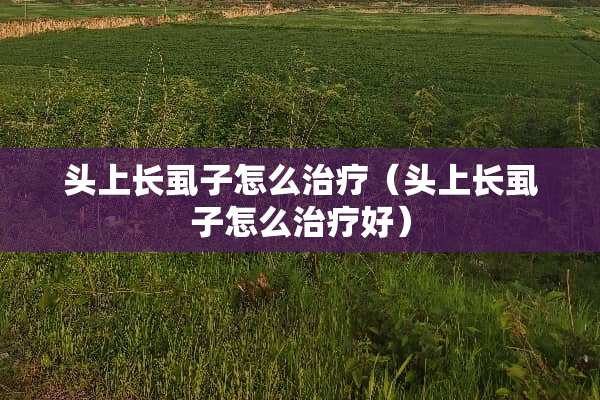 头上长虱子怎么治疗（头上长虱子怎么治疗好）