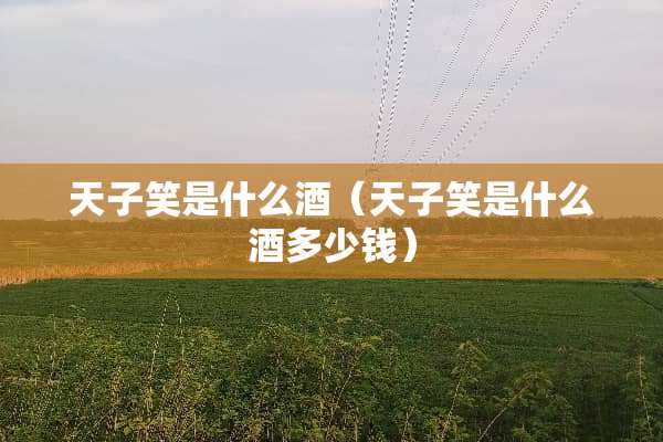 天子笑是什么酒（天子笑是什么酒多少钱）