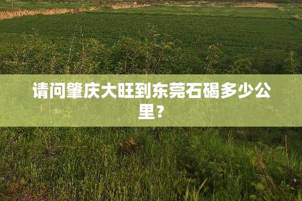 请问肇庆大旺到东莞石碣多少公里？
