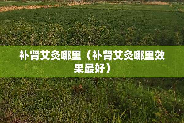 补肾艾灸哪里（补肾艾灸哪里效果最好）