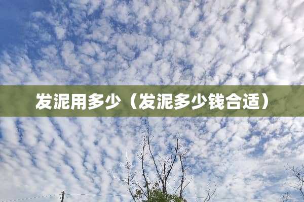 发泥用多少（发泥多少钱合适）
