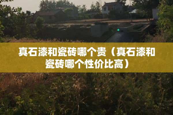 真石漆和瓷砖哪个贵（真石漆和瓷砖哪个性价比高）