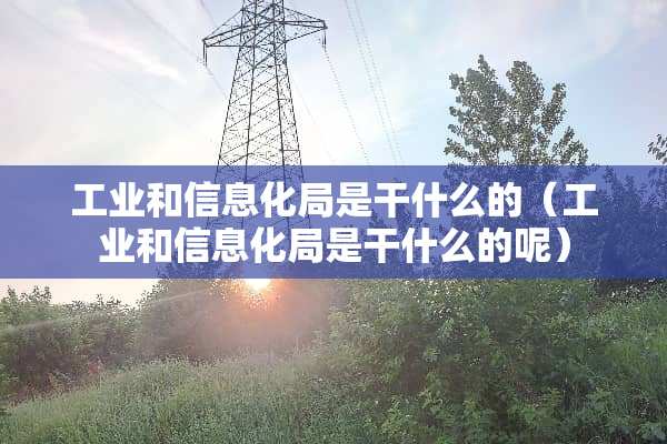 工业和信息化局是干什么的（工业和信息化局是干什么的呢）