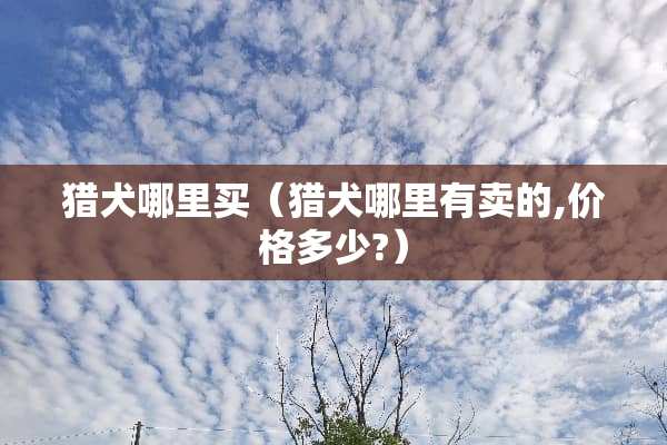 猎犬哪里买（猎犬哪里有卖的,价格多少?）