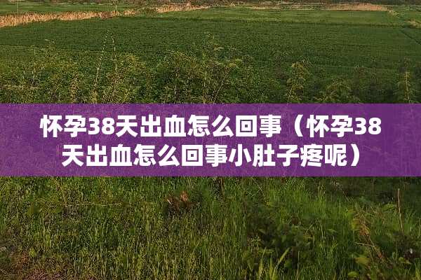 怀孕38天出血怎么回事（怀孕38天出血怎么回事小肚子疼呢）