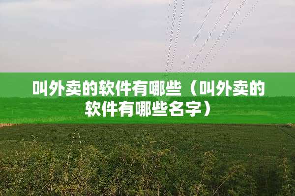 叫外卖的软件有哪些（叫外卖的软件有哪些名字）