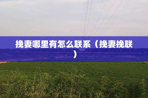 挽妻哪里有怎么联系（挽妻挽联）