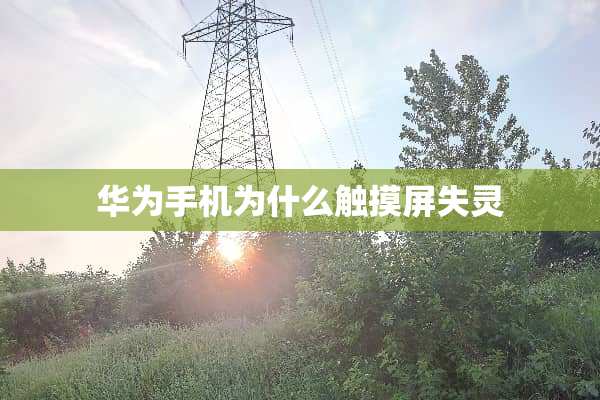 华为手机为什么触摸屏失灵