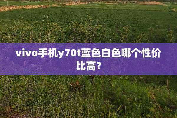 vivo手机y70t蓝色白色哪个性价比高？