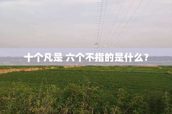 十个凡是 六个不指的是什么？