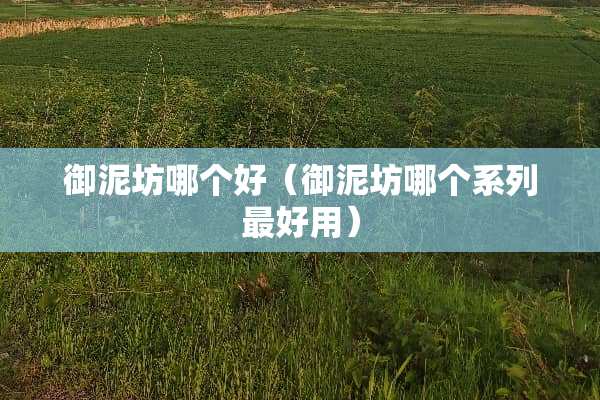 御泥坊哪个好（御泥坊哪个系列最好用）