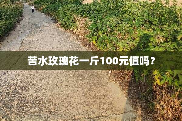 苦水玫瑰花一斤100元值吗？