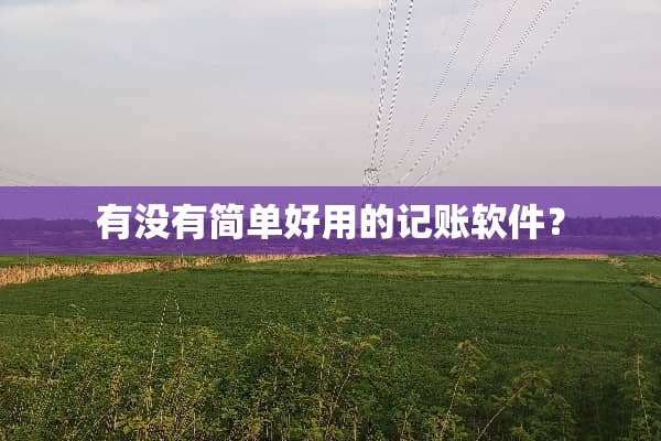 有没有简单好用的记账软件？