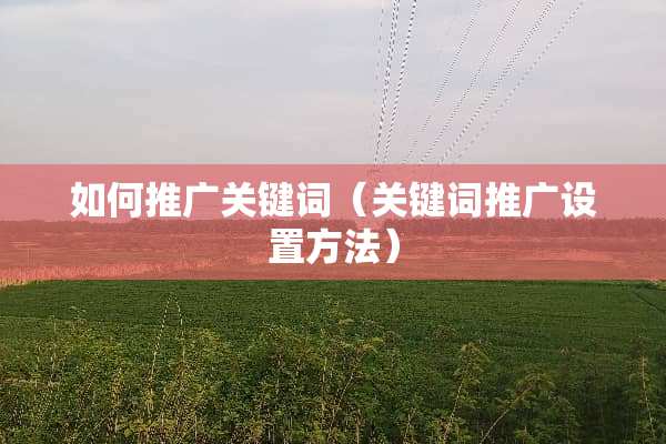 如何推广关键词（关键词推广设置方法）