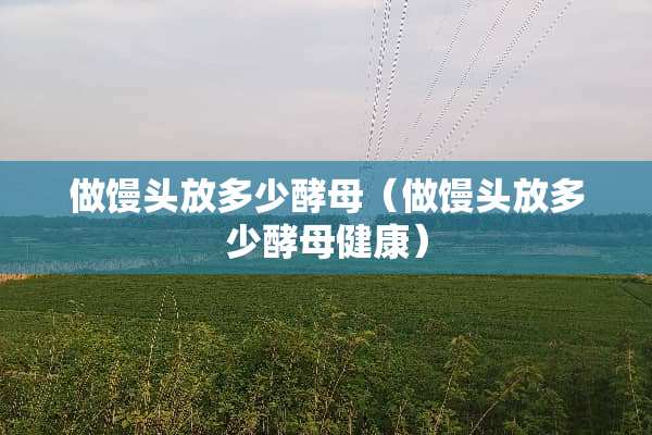 做馒头放多少酵母（做馒头放多少酵母健康）