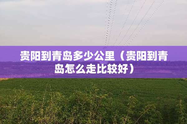 贵阳到青岛多少公里（贵阳到青岛怎么走比较好）