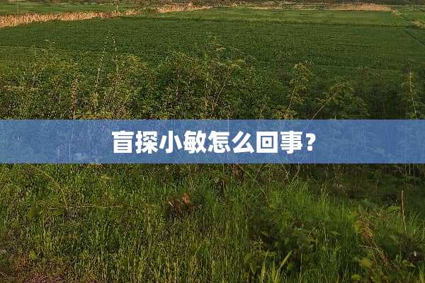盲探小敏怎么回事？