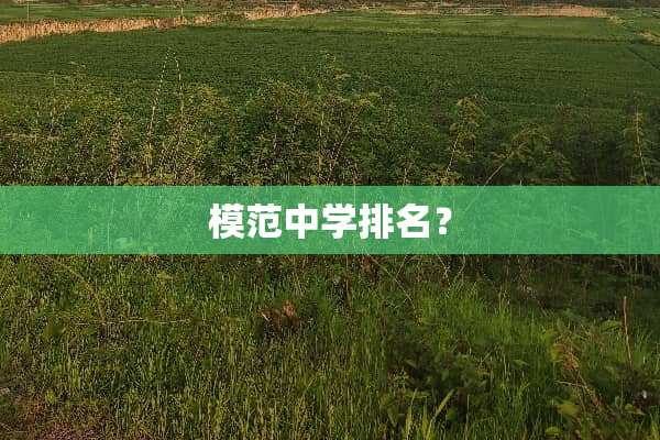 模范中学排名？