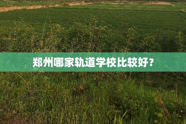 郑州哪家轨道学校比较好？