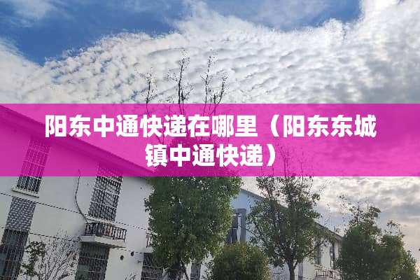 阳东中通快递在哪里（阳东东城镇中通快递）
