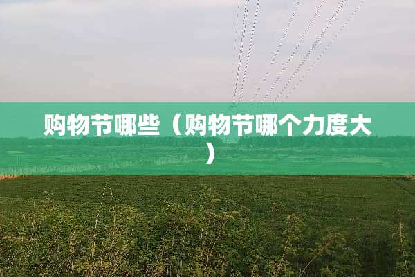 购物节哪些（购物节哪个力度大）