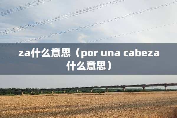 za什么意思（por una cabeza什么意思）