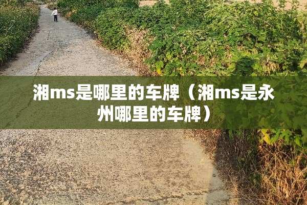 湘ms是哪里的车牌（湘ms是永州哪里的车牌）