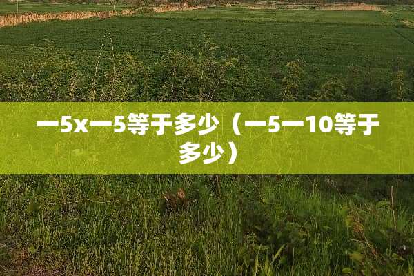 一5x一5等于多少（一5一10等于多少）