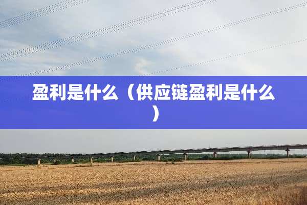 盈利是什么（供应链盈利是什么）