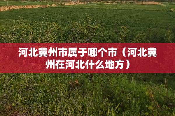 河北冀州市属于哪个市（河北冀州在河北什么地方）