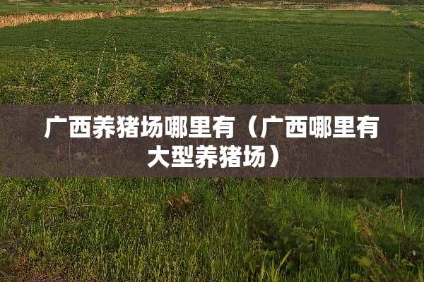 广西养猪场哪里有（广西哪里有大型养猪场）
