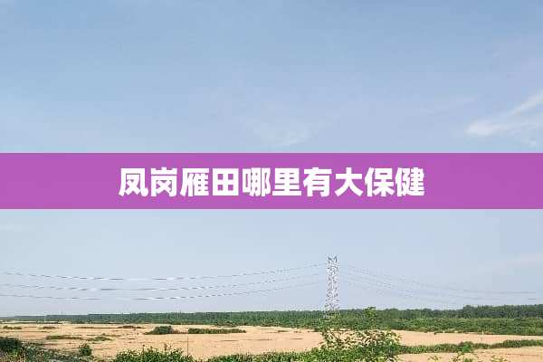 凤岗雁田哪里有大保健