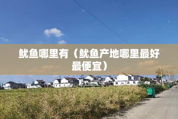 鱿鱼哪里有（鱿鱼产地哪里最好最便宜）