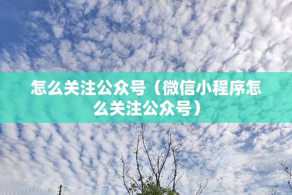 怎么关注公众号（微信小程序怎么关注公众号）