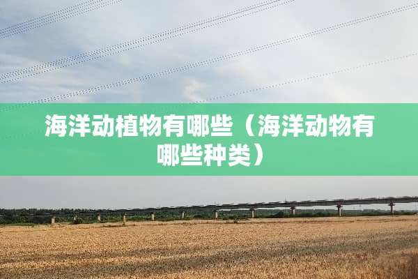 海洋动植物有哪些（海洋动物有哪些种类）