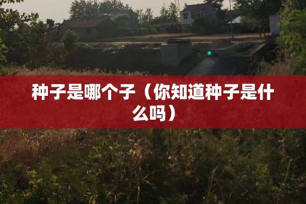 种子是哪个子（你知道种子是什么吗）