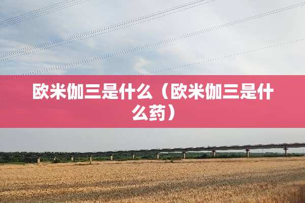 欧米伽三是什么（欧米伽三是什么药）