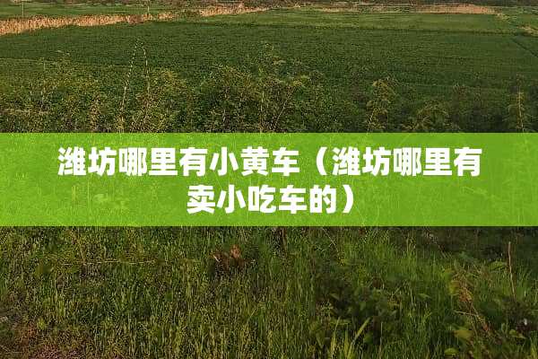 潍坊哪里有小黄车（潍坊哪里有卖小吃车的）