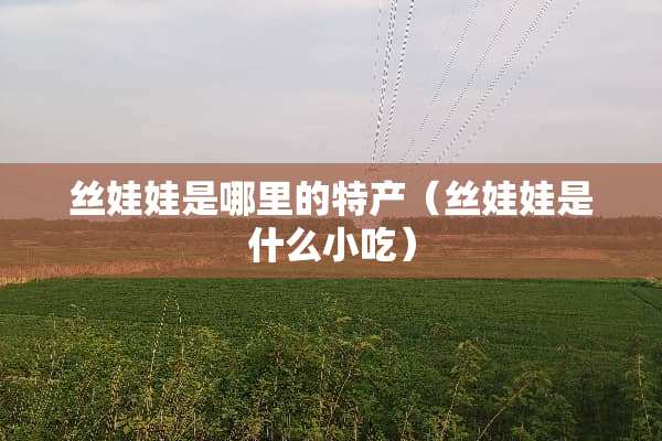 丝娃娃是哪里的特产（丝娃娃是什么小吃）